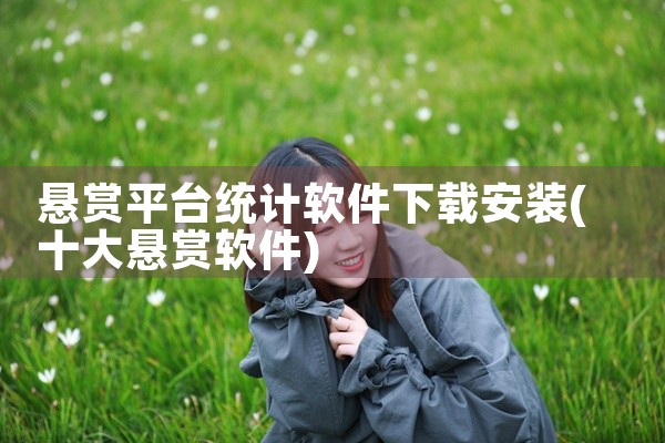 悬赏平台统计软件下载安装