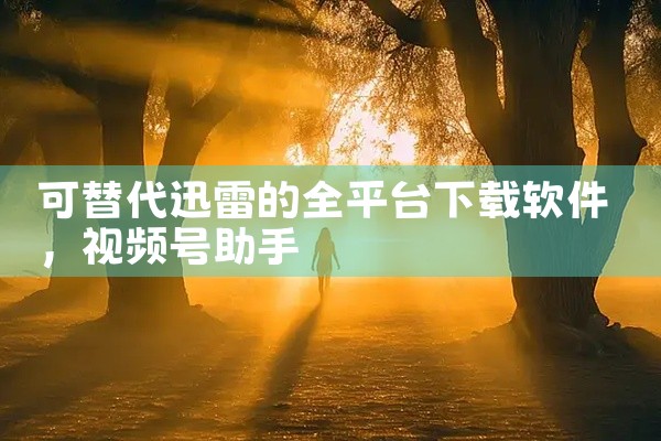 可替代迅雷的全平台下载软件