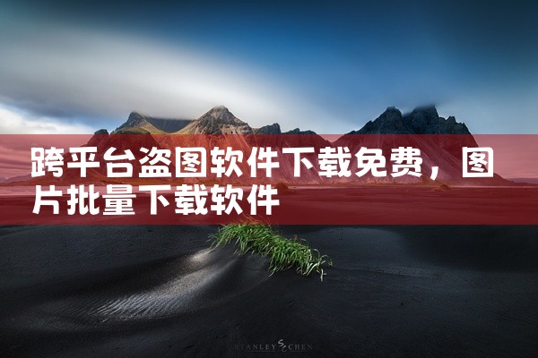 跨平台盗图软件下载免费