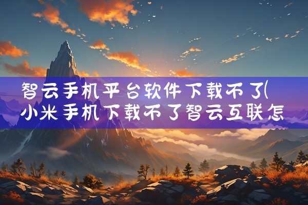 智云手机平台软件下载不了